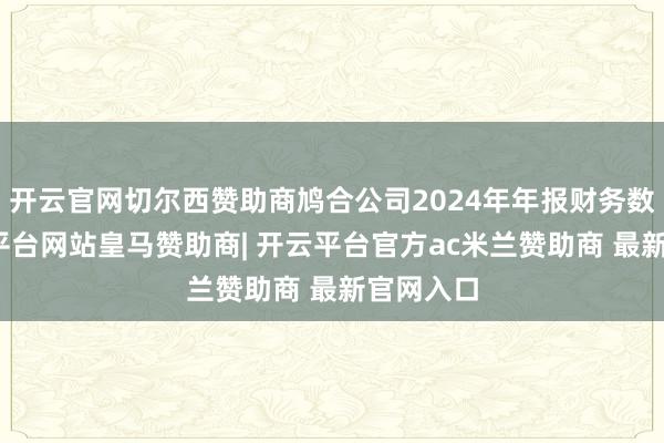 开云官网切尔西赞助商鸠合公司2024年年报财务数据-开云平台网站皇马赞助商| 开云平台官方ac米兰赞助商 最新官网入口