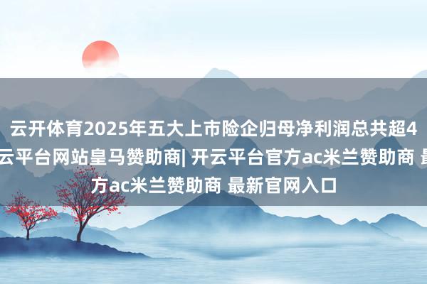 云开体育2025年五大上市险企归母净利润总共超4252亿元-开云平台网站皇马赞助商| 开云平台官方ac米兰赞助商 最新官网入口